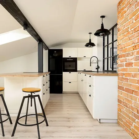 Industrialny Na Poddaszu Z Parkingiem By Renters Bílsko-Bělá